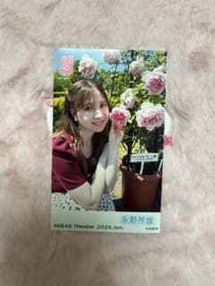 【永野芹佳】AKB48 ガラポン　写真のサムネイル