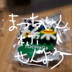マグネットのサムネイル