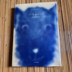 ハネムーンのサムネイル