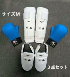 MIZUNO 空手用防具セット 拳サポーター青、シンガード、インステップガードのサムネイル
