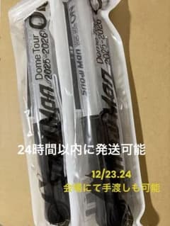 SnowMan グッズ ペンライト2本セット 2025 onのサムネイル