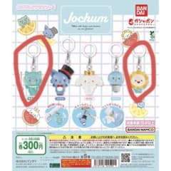 Jochum カプセルトイ 5個セット ヤヌカミ、Bira 単品売りです。のサムネイル