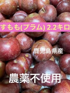 すもも(プラム) 2.2キロのサムネイル