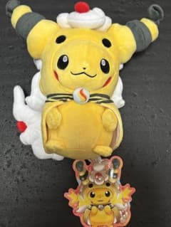 ポケモンセンター限定 ぬいぐるみ メガデンリュウのポンチョを着た