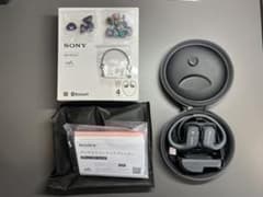 SONY NW-WS623 ワイヤレスヘッドホンのサムネイル