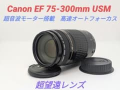 10月24日限定販売♪【超望遠レンズ】Canon EF 75-300mm USM - メルカリ