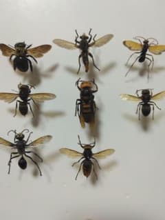 m16443989042_1.jpg?1761700087