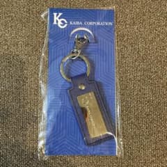 遊戯王デュエルモンスターズ KCメタルプレートキーホルダー 25周年記念グッズ