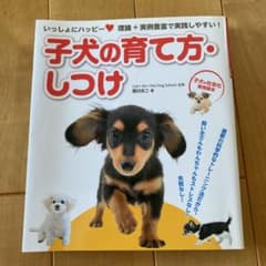 子犬の育て方・しつけ : いっしょにハッピー : 理論+実例豊富で実践しやすい…のサムネイル