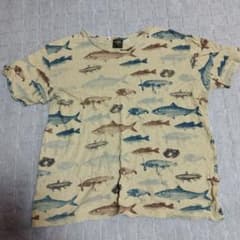 phatee  ファッティー　Tシャツ　魚のサムネイル