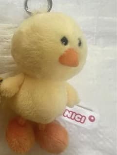 NICI 鳥のサムネイル