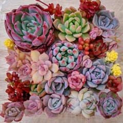 m16446366346_1.jpg?1713340470