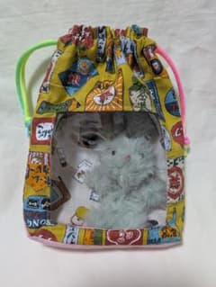 中身の見える巾着のサムネイル