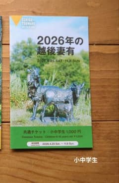 大地の芸術祭チケット　小中学生用のサムネイル