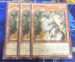 遊戯王 孤高除獣　3枚