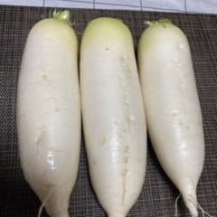 採れたて！おでん大根のサムネイル
