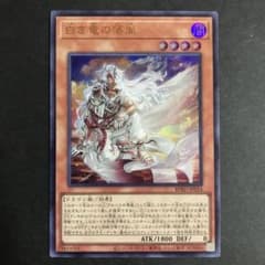 遊戯王 白き竜の落胤 - メルカリ