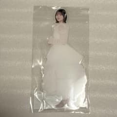 乃木坂46 中西アルノ 個別 BIG アクリルスタンド 14th YEAR - メルカリ