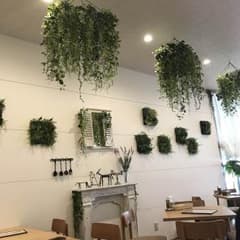 こてつ様(*´꒳`*)のサムネイル