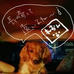 りんりんさま専用のサムネイル