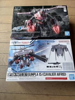 HG ZGOK (SEED FREEDOM Ver.) + GUNPLA 15のサムネイル