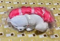 いれいす もふめいと すしーぬ ぬいぐるみ - メルカリ