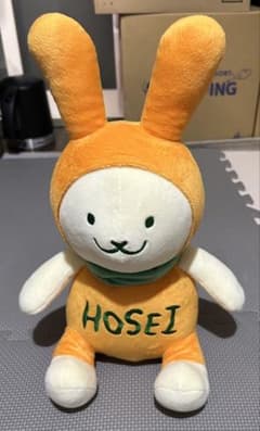 호세이대학 에코팍 마스코트 L 40cm