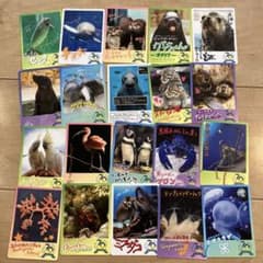 1枚110円★バラ売り★匿名配送★鳥羽水族館コレクションカード 1枚110円☆バラ売り☆匿名配送☆鳥羽水族館コレクションカード