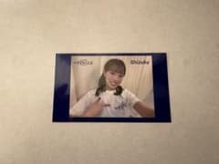 ブラインドステッカーshizuku／diana2025のサムネイル