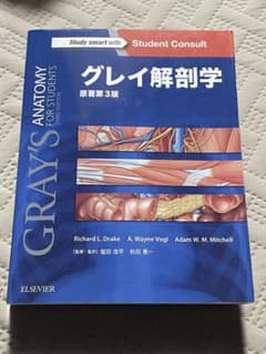 グレイ解剖学のサムネイル