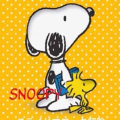 がんちゃんLOVE様専用のサムネイル