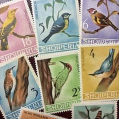 80197外国切手 アルバニア発行 ノロジカ 8種揃 79045セール現品限 外国切手 アルバニア発行鳥8種揃 | Mercari