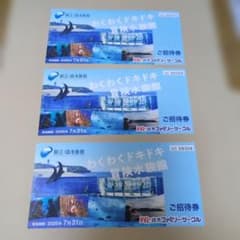 新江ノ島水族館 ご招待券 3枚 2026年7月31日まで - メルカリ