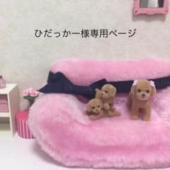 ひだっかー様専用ページのサムネイル