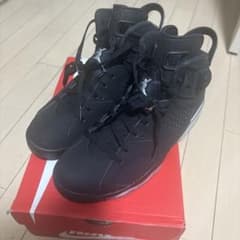 Nike Air Jordan 6 Retro Metallic Silverのサムネイル