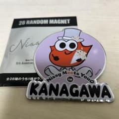 マグネッピー（神奈川）のサムネイル
