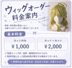 お見積もり無料‼️ コスプレウィッグオーダー受付のサムネイル