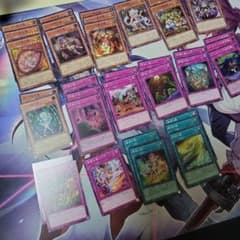 遊戯王 蟲惑魔 デッキパーツ まとめ売り - メルカリ