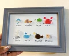 シーグラスアート 魚図鑑 海の生き物 ハンドメイド インテリア 海好きのサムネイル