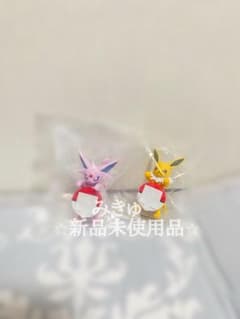 포켓몬 이치 반 쿠지 [F 상] 거리 산책 치라 린 프렌즈