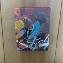 ポケモンカード ハーフデッキケース ゾロアーク ライコウ エンテイ