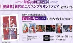 イラストカード(全7種) 愛蔵版 新世紀エヴァンゲリオン アニメイト特典