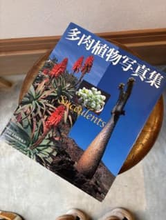 多肉植物写真集 Succulents｜国際多肉植物協会 日本支部｜希少