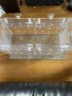 隔離ケースのサムネイル