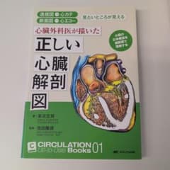 心臓外科医が描いた 正しい心臓解剖図のサムネイル