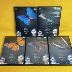 新品ケース》ずっとあなたが好きだった DVD 全5巻 全巻セット 賀来