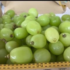 シャインマスカット１キロ粒売りのサムネイル