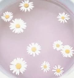 ミシャ クッションファンデーションのサムネイル