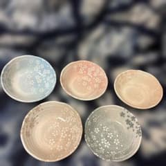 竹斎 宴揃 桜柄 大皿 小皿のサムネイル