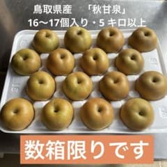 60 ．鳥取県産　秋甘泉　農家直送 　　　　 　　　　　5 キロ以上のサムネイル